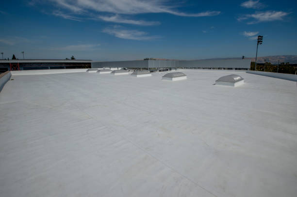 Best Emergency Roof Repair Services  in Mead, CO