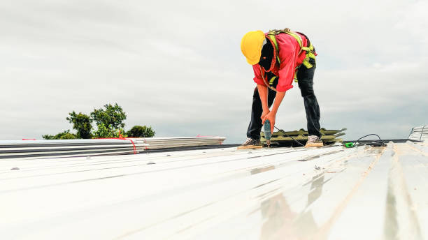 Best Chimney Flashing Repair  in Mead, CO
