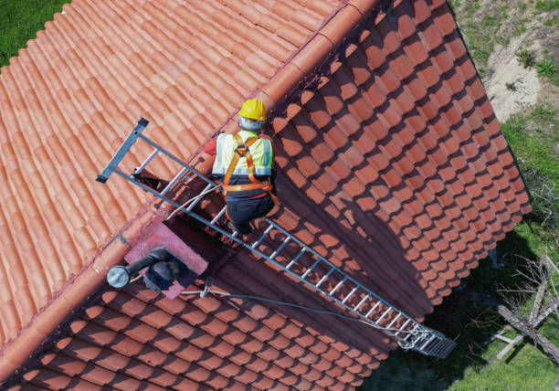 Best Chimney Flashing Repair  in Mead, CO