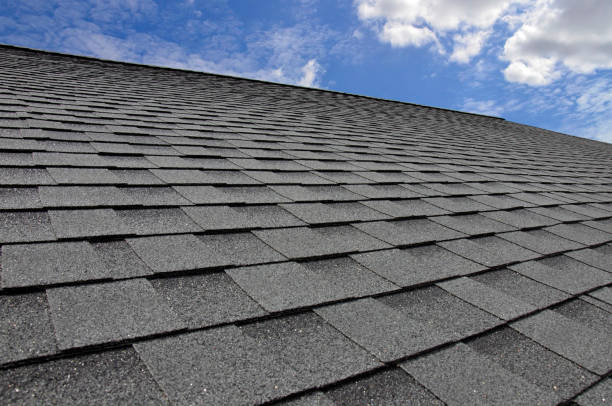 Best Roof Ventilation Installation  in Mead, CO